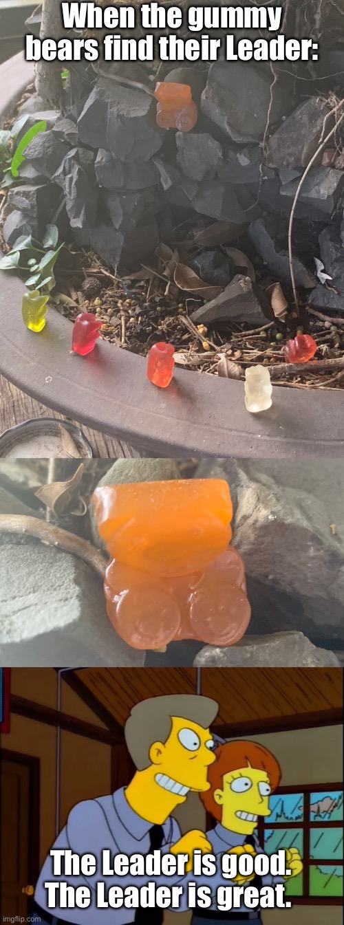 The Leader is Found! | When the gummy bears find their Leader:; The Leader is good.
The Leader is great. | image tagged in the leader is good the leader is great,gummy bears,leader,worship,thc | made w/ Imgflip meme maker