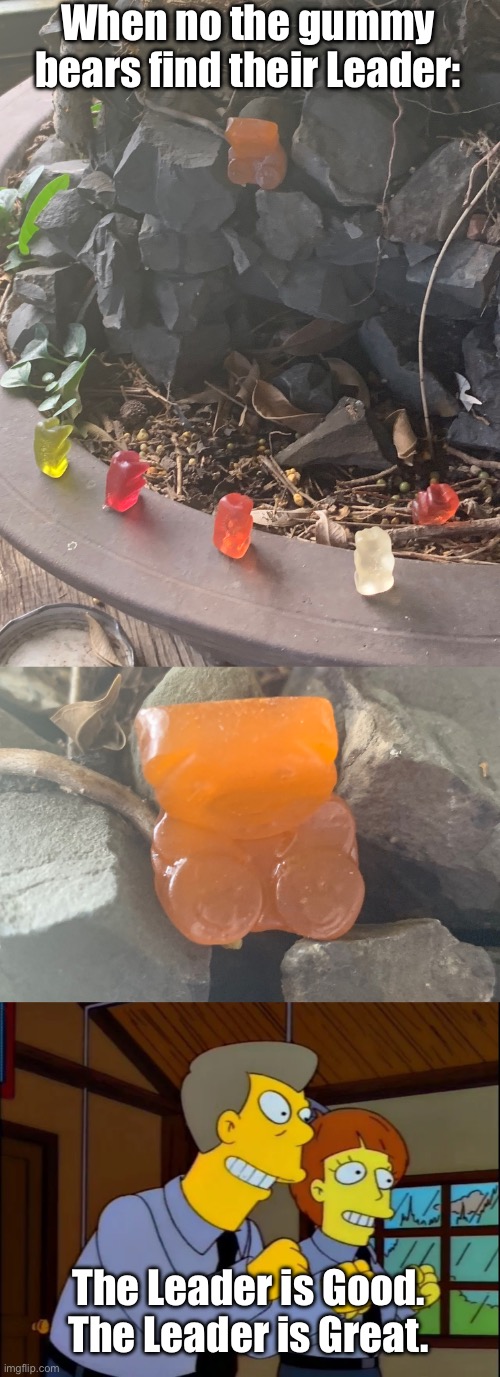 The Bear Leader | When no the gummy bears find their Leader:; The Leader is Good.
The Leader is Great. | image tagged in the leader is good the leader is great,gummy bears,bears,leader,thc | made w/ Imgflip meme maker