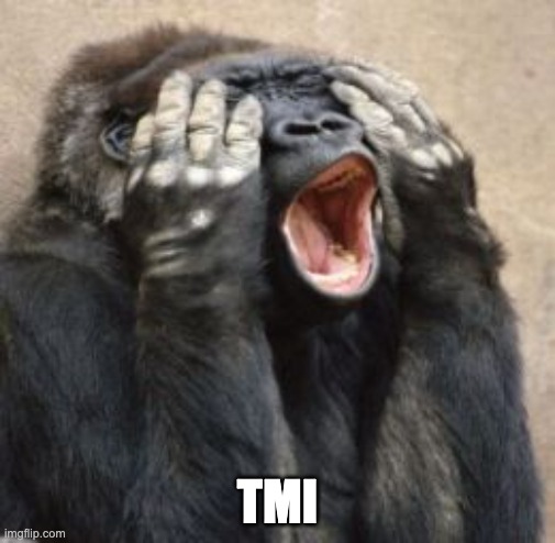 TMI  | TMI | image tagged in tmi | made w/ Imgflip meme maker