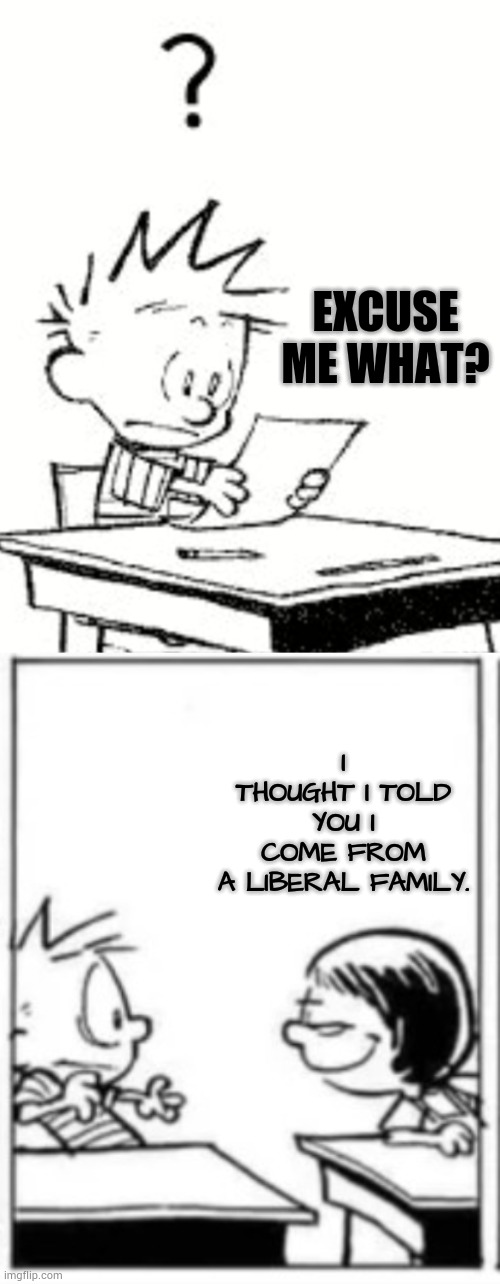 EXCUSE ME WHAT? I THOUGHT I TOLD YOU I COME FROM A LIBERAL FAMILY. | image tagged in excuse me what,susie smirks calvin,come from,liberal,family,memes | made w/ Imgflip meme maker