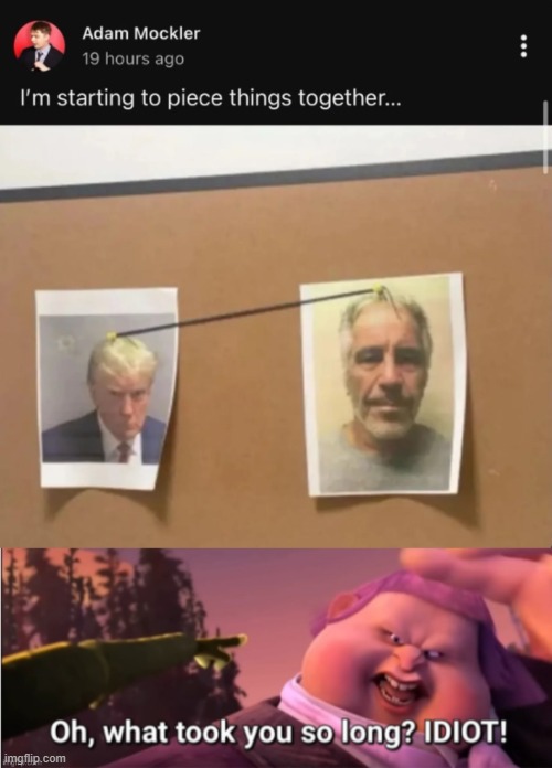 "grass is green" | image tagged in oh what took you so long idiot | made w/ Imgflip meme maker