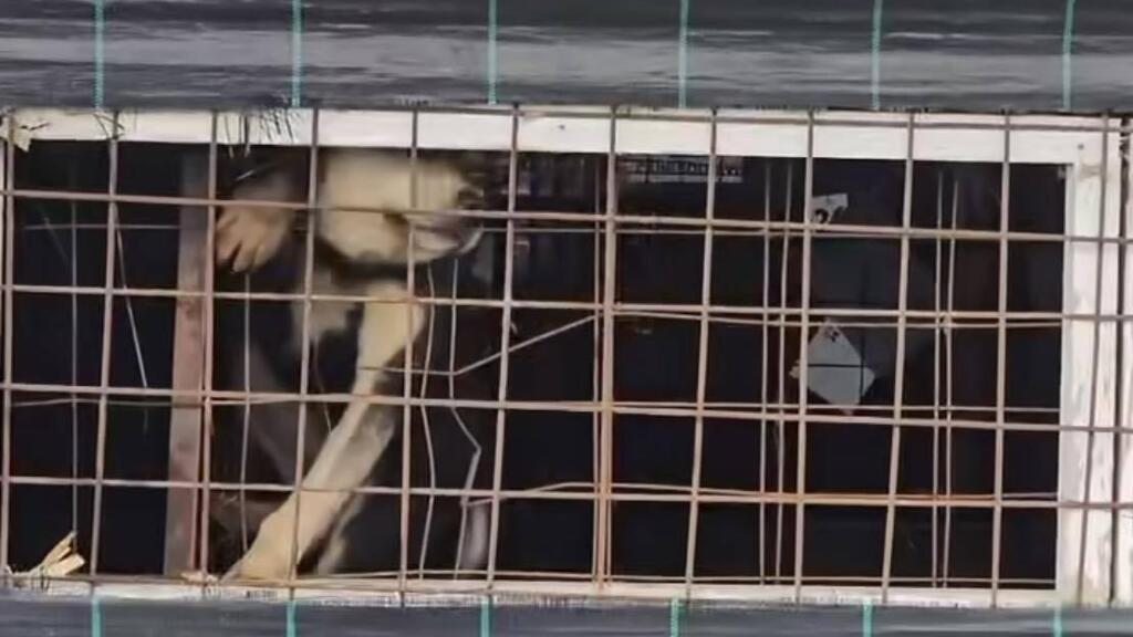 Protest Blank Meme Template