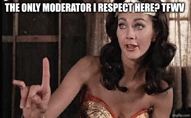 wonder woman oh no he di int | THE ONLY MODERATOR I RESPECT HERE? TFWV | image tagged in wonder woman oh no he di int | made w/ Imgflip meme maker