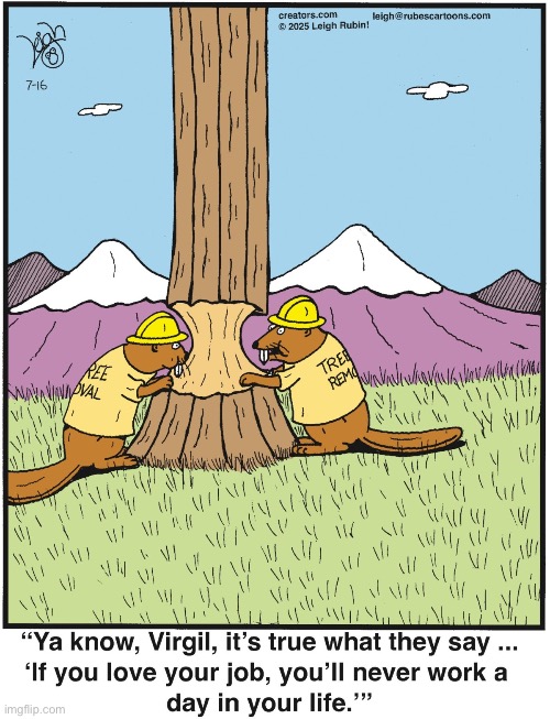 Rubes | image tagged in comics,rubes,beavers,trees,tree removal,love your job | made w/ Imgflip meme maker