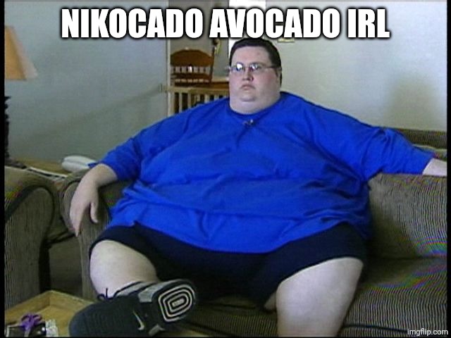 fat guy on couch | NIKOCADO AVOCADO IRL | image tagged in fat guy on couch | made w/ Imgflip meme maker