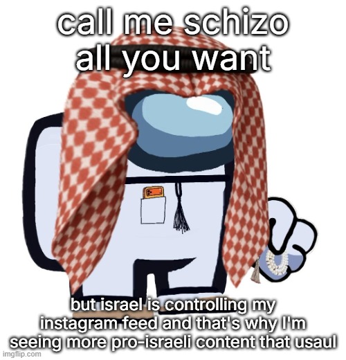 ArabMogus (thanks eshaheer) | call me schizo all you want; but israel is controlling my instagram feed and that's why I'm seeing more pro-israeli content that usaul | image tagged in arabmogus thanks eshaheer | made w/ Imgflip meme maker