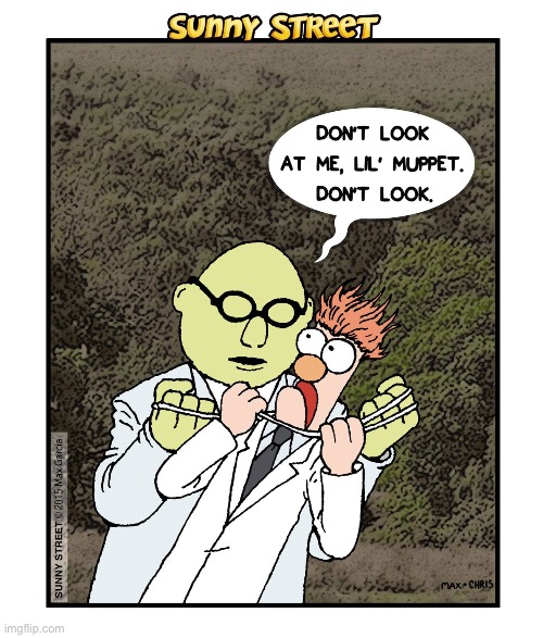 Professor Bunsen Honeydew and Beaker | image tagged in comics,sunny street,muppets,bunsen and beaker,strangled,dont look | made w/ Imgflip meme maker