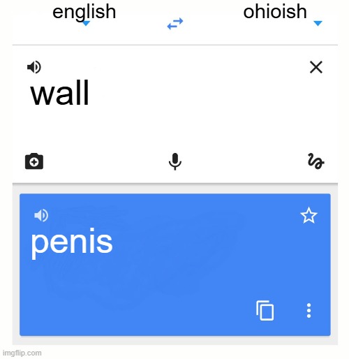 wall to ***** | english; ohioish; wall; penis | image tagged in google translate | made w/ Imgflip meme maker