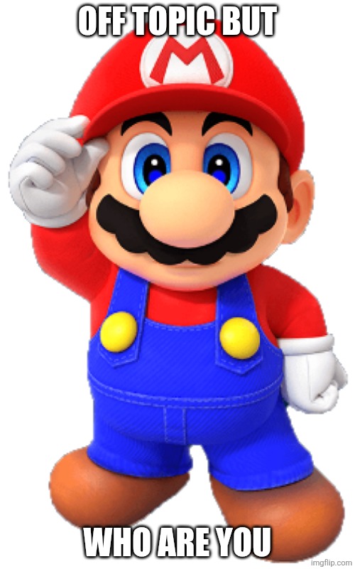 ario | OFF TOPIC BUT; WHO ARE YOU | image tagged in ario | made w/ Imgflip meme maker