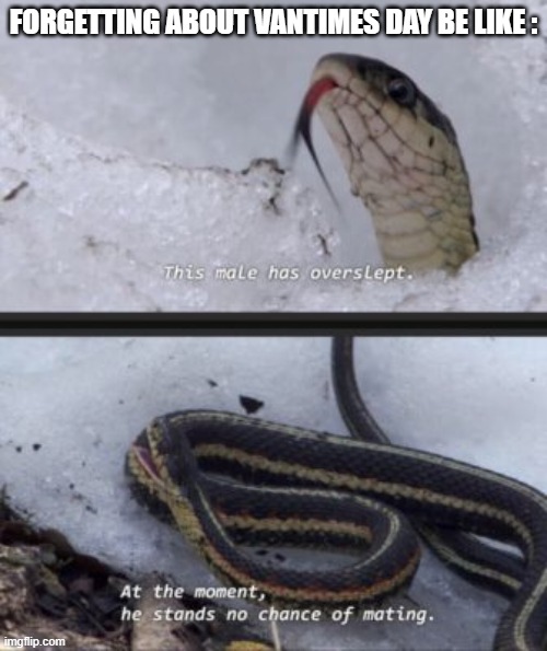Making This Meme As Filler For The Last 2 Memes | FORGETTING ABOUT VANTIMES DAY BE LIKE : | image tagged in this snake has overslept,vantimes,memes | made w/ Imgflip meme maker