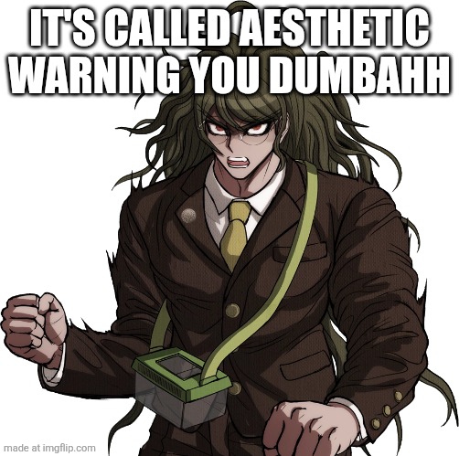 gonta gokuhahahaahhhaah | IT'S CALLED AESTHETIC WARNING YOU DUMBAHH | image tagged in gonta gokuhahahaahhhaah | made w/ Imgflip meme maker