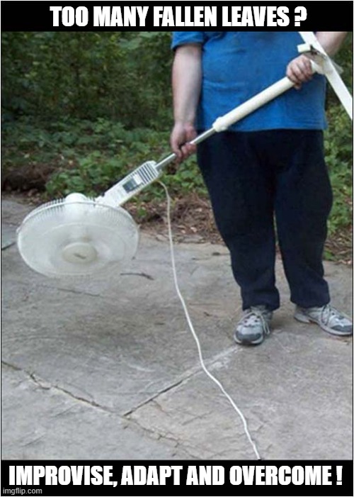 Garden Untidy ? | TOO MANY FALLEN LEAVES ? IMPROVISE, ADAPT AND OVERCOME ! | image tagged in garden,leaves,fan,improvise adapt overcome | made w/ Imgflip meme maker