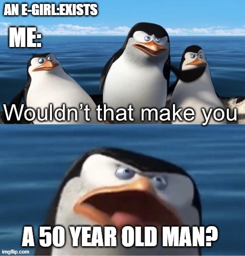 Wouldn’t that make you | ME:; AN E-GIRL:EXISTS; A 50 YEAR OLD MAN? | image tagged in wouldn t that make you | made w/ Imgflip meme maker