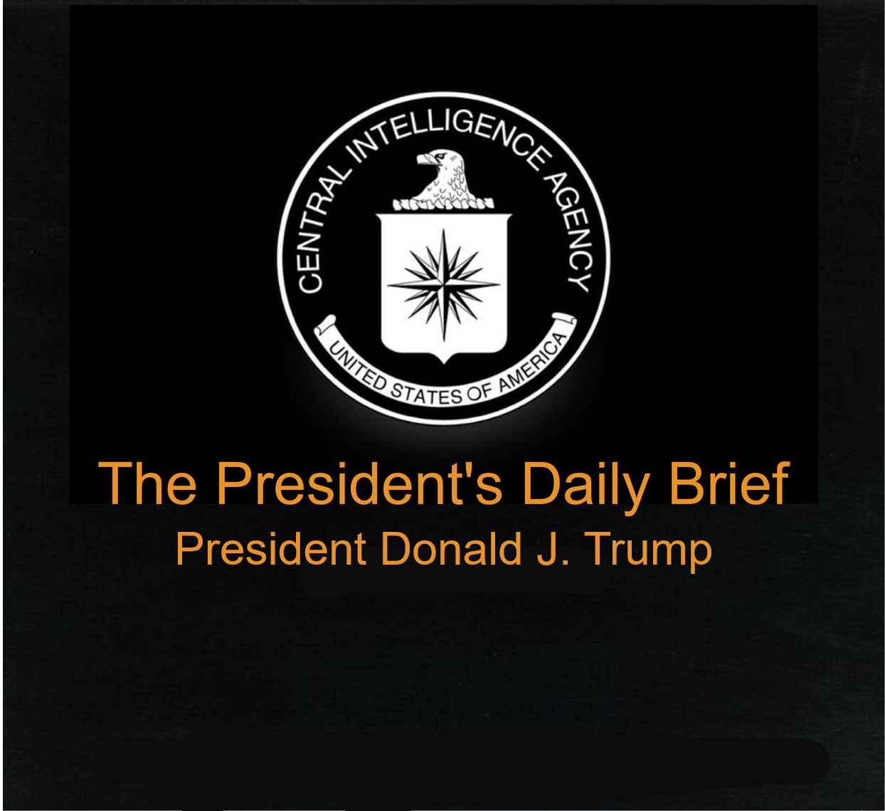 CIA daily brief - Donald Trump Blank Meme Template