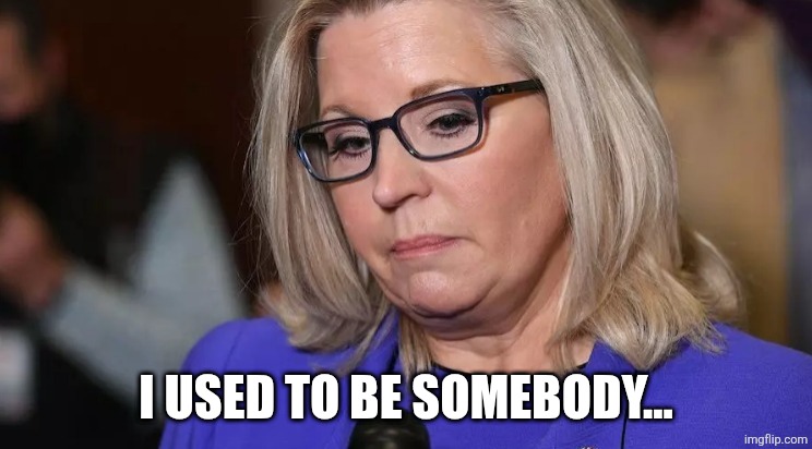 Sad sack Liz Cheney | I USED TO BE SOMEBODY... | image tagged in sad sack liz cheney | made w/ Imgflip meme maker