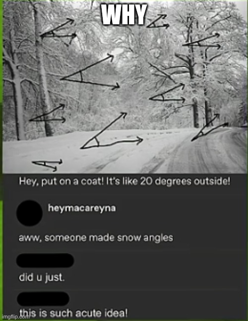 . | WHY | image tagged in l | made w/ Imgflip meme maker