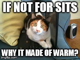 IF NOT FOR SITS WHY IT MADE OF WARM? | image tagged in memes,cats | made w/ Imgflip meme maker