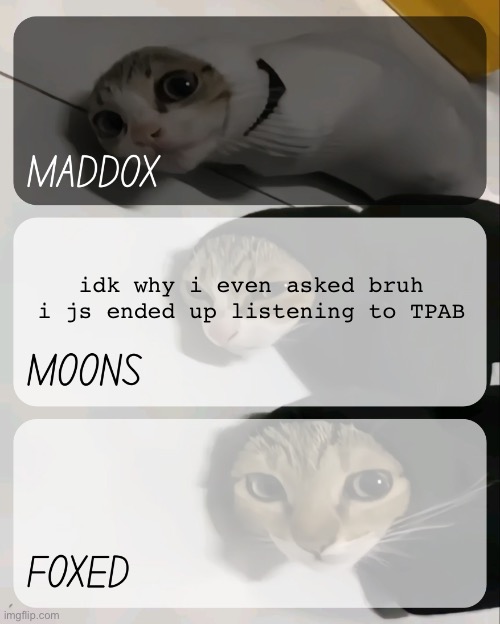 maddox, moons, n foxed kitty temp | idk why i even asked bruh i js ended up listening to TPAB | image tagged in maddox moons n foxed kitty temp | made w/ Imgflip meme maker