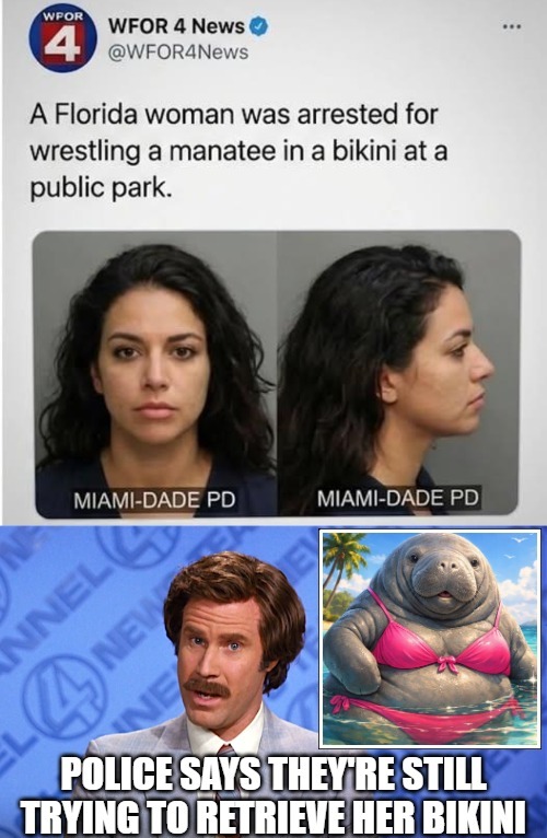 Trying to use AI for good, not evil | image tagged in funny,news,anchorman news | made w/ Imgflip meme maker