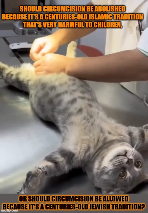 This #lolcat wonders why circumcision is a good as well as a bad tradition | SHOULD CIRCUMCISION BE ABOLISHED 
BECAUSE IT'S A CENTURIES-OLD ISLAMIC TRADITION 
THAT'S VERY HARMFUL TO CHILDREN, OR SHOULD CIRCUMCISION BE ALLOWED BECAUSE IT'S A CENTURIES-OLD JEWISH TRADITION? | image tagged in hypocrisy,tradition,jewish,muslim,circumcision,lolcat | made w/ Imgflip meme maker