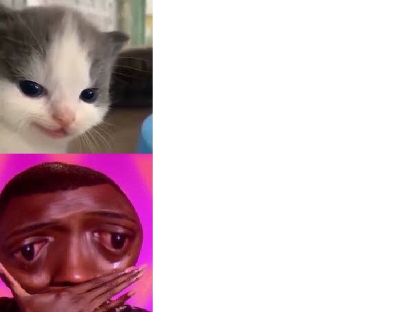 smug kitty x worried guy Blank Meme Template