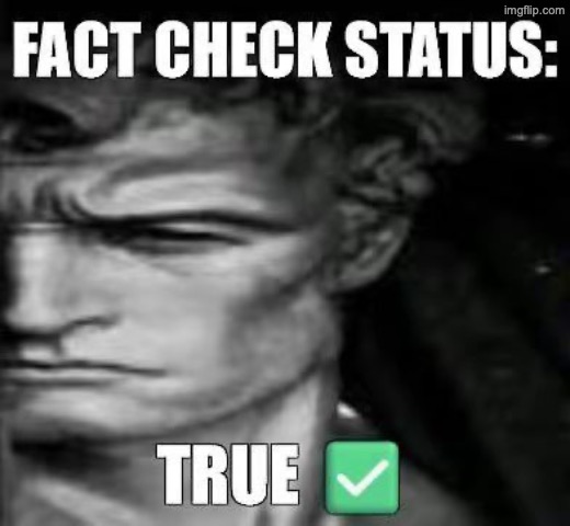 Fact check status : True | image tagged in fact check status true | made w/ Imgflip meme maker