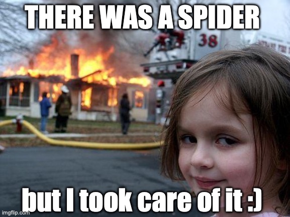 im so brave fr | THERE WAS A SPIDER; but I took care of it :) | image tagged in memes,disaster girl | made w/ Imgflip meme maker