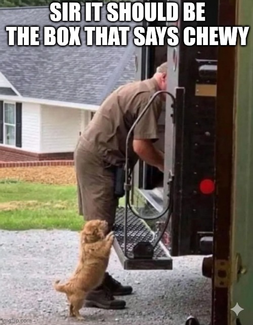 Sir It Should Be The Box That Says Chewy | SIR IT SHOULD BE THE BOX THAT SAYS CHEWY | image tagged in chrisjoines1 | made w/ Imgflip meme maker