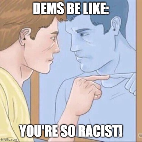 Pointing mirror guy | DEMS BE LIKE: YOU'RE SO RACIST! | image tagged in pointing mirror guy | made w/ Imgflip meme maker