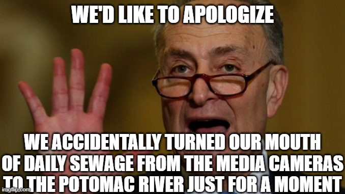Chuck Schumer | WE'D LIKE TO APOLOGIZE WE ACCIDENTALLY TURNED OUR MOUTH OF DAILY SEWAGE FROM THE MEDIA CAMERAS TO THE POTOMAC RIVER JUST FOR A MOMENT | image tagged in chuck schumer | made w/ Imgflip meme maker