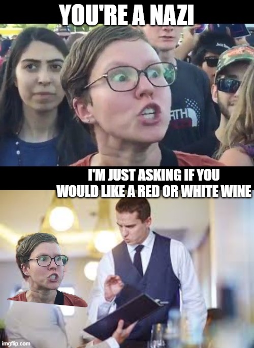 YOU'RE A NAZI I'M JUST ASKING IF YOU WOULD LIKE A RED OR WHITE WINE | image tagged in angry sjw,waiter | made w/ Imgflip meme maker