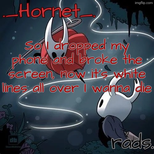 no money | So I dropped my phone and broke the screen, now it's white lines all over I wanna die | image tagged in hornet and radium temp | made w/ Imgflip meme maker