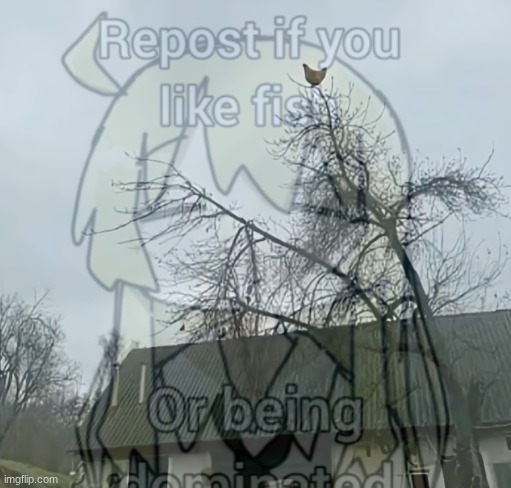 AAAAAAAAAAAAAAAAAAAAAAAAAAAAAAAAAAAAAAAAAAAAAAAAAAAAAAAAAAAAAAAAAAAAAAAAAAAAAAAAAAAAAAAAAAAAAAAAAAAAAAAAAAAAAAAAAAAAAAAAAAAAAAAA | made w/ Imgflip meme maker