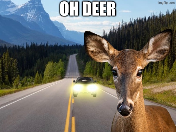 Oh deer… literally | OH DEER | image tagged in gifs,memes,funny,relatable,fun | made w/ Imgflip meme maker