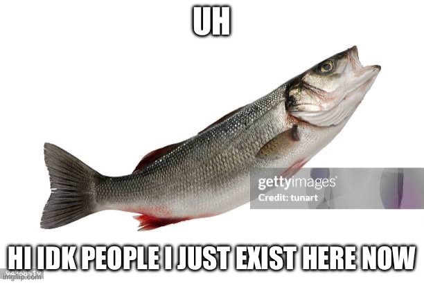 Stock image fish (That0nenote: hes new guys) | UH; HI IDK PEOPLE I JUST EXIST HERE NOW | made w/ Imgflip meme maker