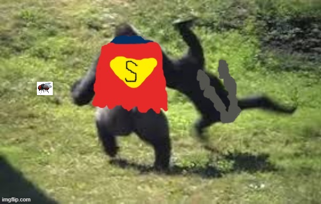 akd7wn.jpg