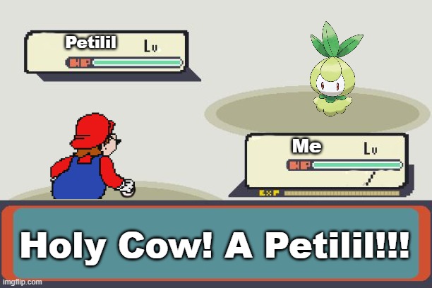 Me when I see a Petilil in Pokemon. | Petilil; Me; Holy Cow! A Petilil!!! | image tagged in pokemon battle,hotel mario | made w/ Imgflip meme maker