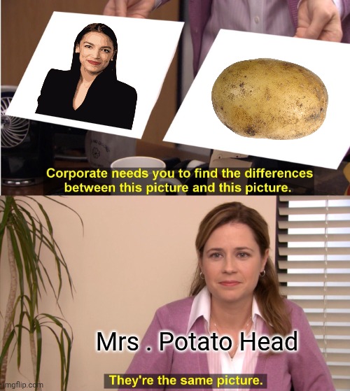 They're The Same Picture Meme | Mrs . Potato Head | image tagged in memes,they're the same picture | made w/ Imgflip meme maker