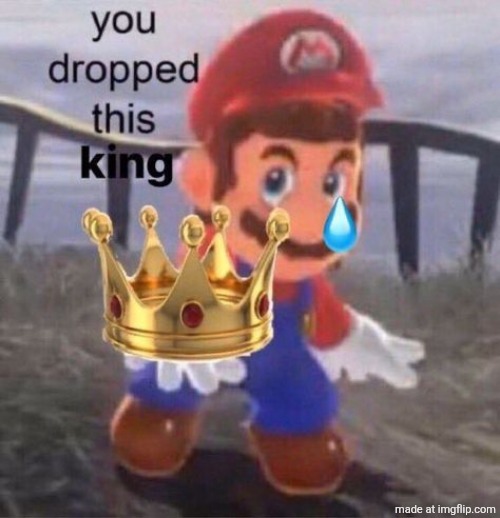 image tagged in mario you dropped this king | made w/ Imgflip meme maker
