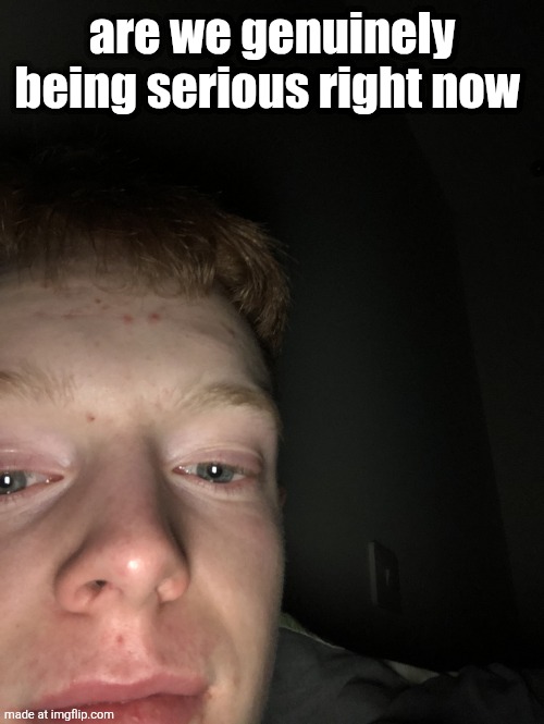Random photo I accidentally took | are we genuinely being serious right now | image tagged in random photo i accidentally took | made w/ Imgflip meme maker