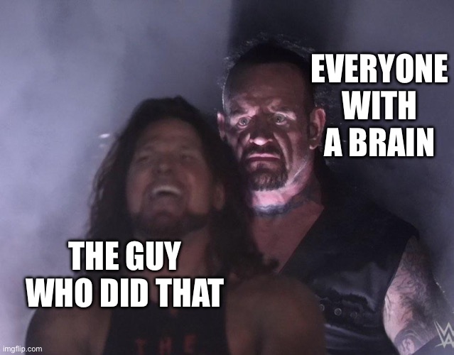 EVERYONE WITH A BRAIN THE GUY WHO DID THAT | image tagged in undertaker | made w/ Imgflip meme maker