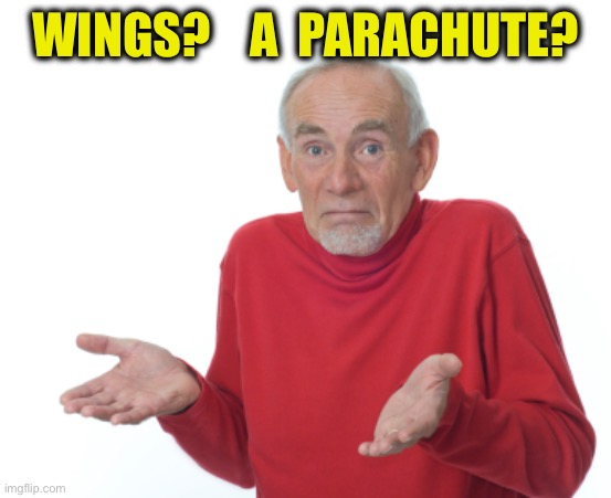 Guess I'll die  | WINGS?    A  PARACHUTE? | image tagged in guess i'll die | made w/ Imgflip meme maker
