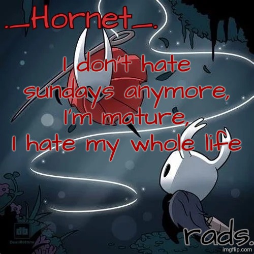 Hornet and Radium temp | I don't hate sundays anymore, I'm mature, I hate my whole life | image tagged in hornet and radium temp | made w/ Imgflip meme maker