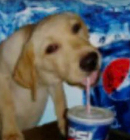 this is relatable | made w/ Imgflip meme maker