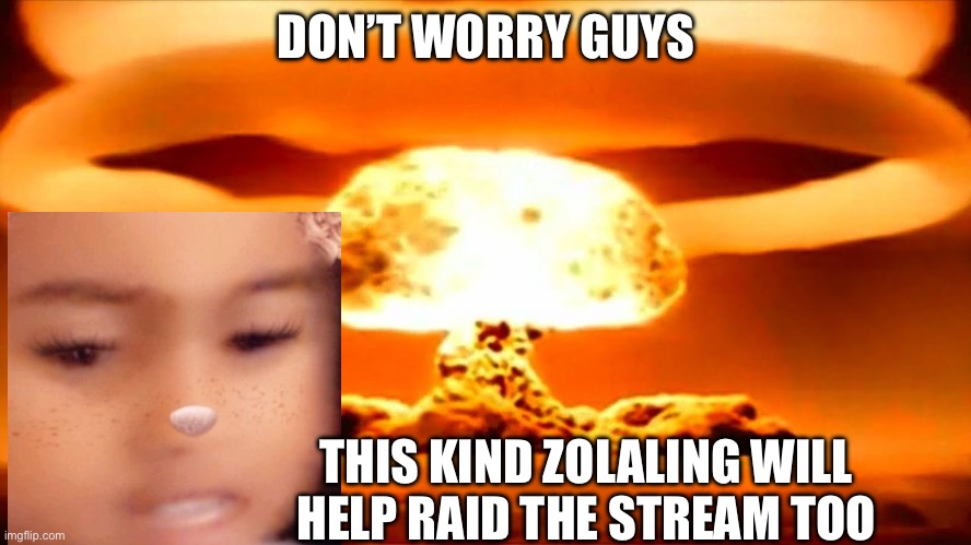zolalings first day of nuking the stream while it’s day 2 of me raiding the stream and helping getting the creator/stream banned | DON’T WORRY GUYS; THIS KIND ZOLALING WILL HELP RAID THE STREAM TOO | image tagged in nuke | made w/ Imgflip meme maker