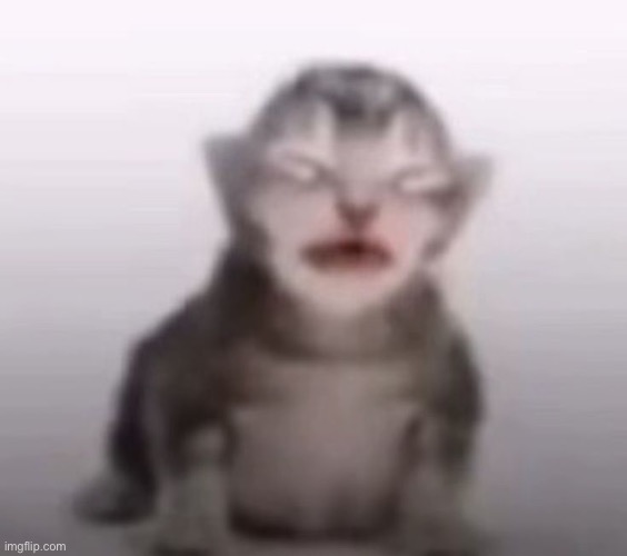 gorble | image tagged in gorble | made w/ Imgflip meme maker