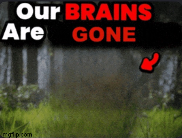 Our brains are GONE | image tagged in our brains are gone | made w/ Imgflip meme maker