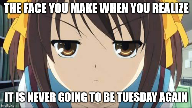 Haruhi stare | THE FACE YOU MAKE WHEN YOU REALIZE; IT IS NEVER GOING TO BE TUESDAY AGAIN | image tagged in haruhi stare | made w/ Imgflip meme maker