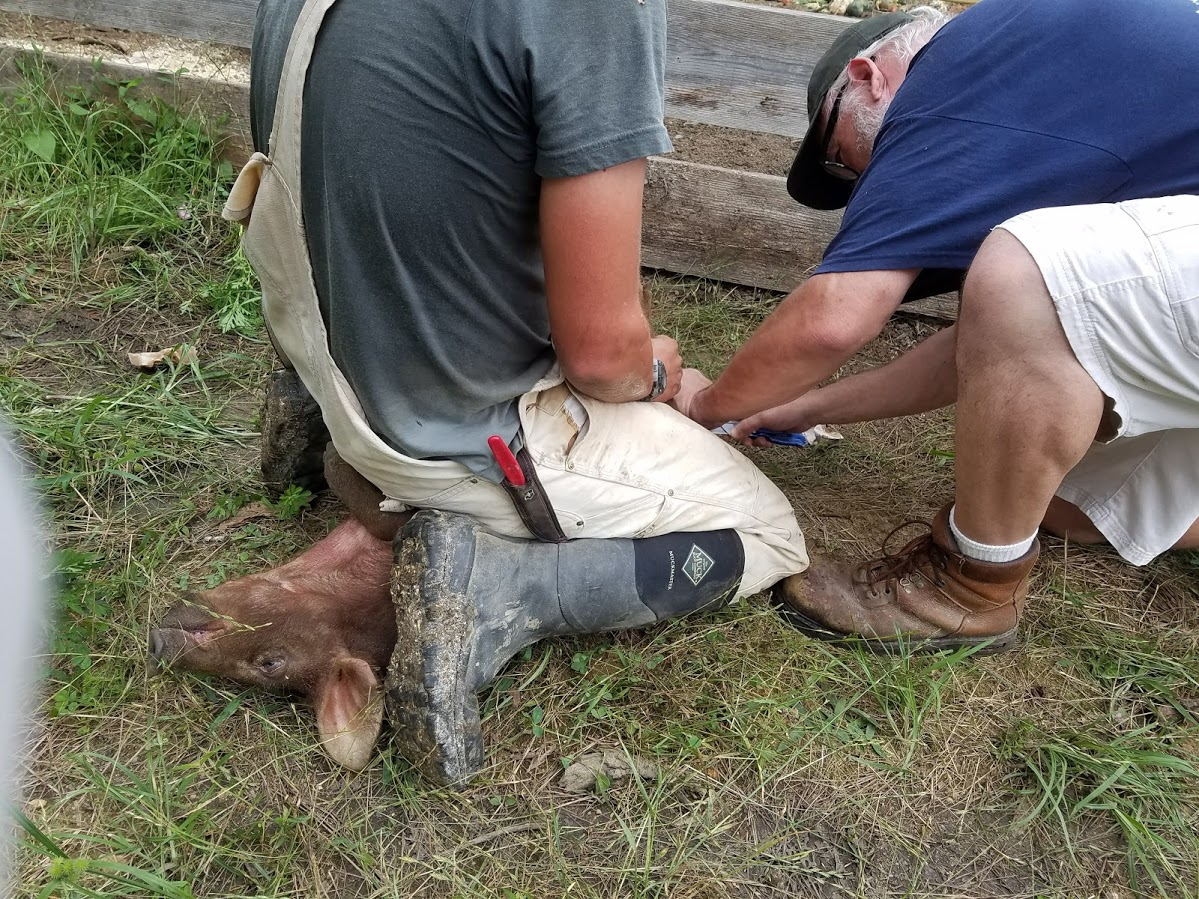 Old Friends Blank Meme Template