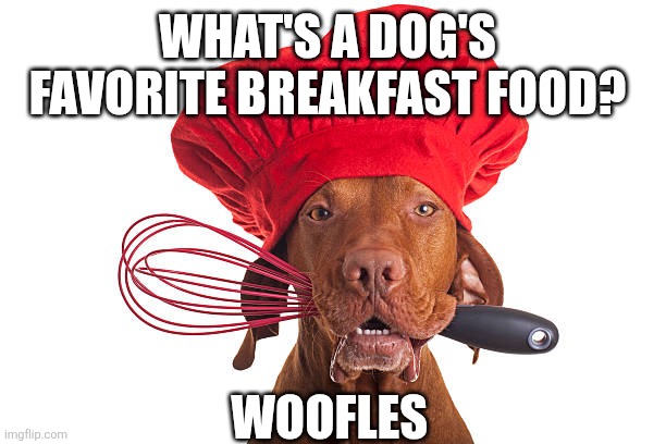 Most important meal of the day right? | WHAT'S A DOG'S FAVORITE BREAKFAST FOOD? WOOFLES | image tagged in a dog wearing a chef's hat with a confused expression | made w/ Imgflip meme maker